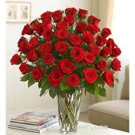 48 Red Roses